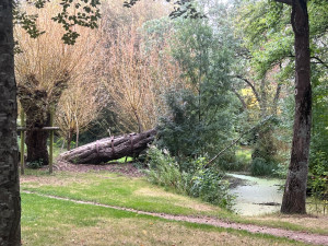 Photo de galerie - Entretien  