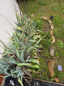 Photo de galerie - Paysagiste - Aménagement du jardin