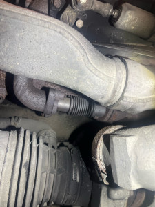 Photo de galerie - .