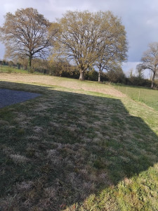 Photo de galerie - Debrouissalage et tonte Sainte-Anne-sur-Brivet 