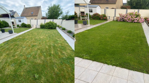 Photo de galerie - Tonte de pelouse - Débroussaillage