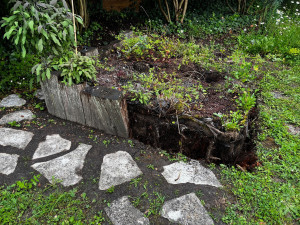 Photo de galerie - Paysagiste - Aménagement du jardin