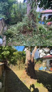 Photo de galerie - Avant / Après