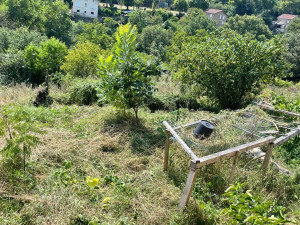 Photo de galerie - Avant