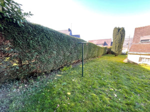 Photo de galerie - Taille de haies 