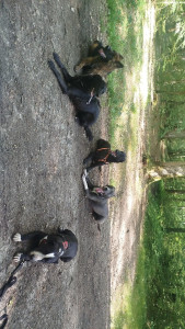 Photo de galerie - 5 copain pour Naldo