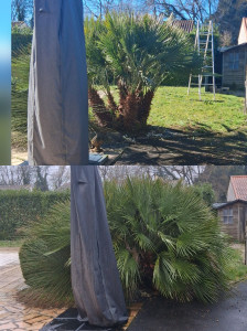 Photo de galerie - Paysagiste - Aménagement du jardin