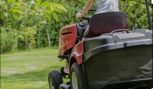 Photo de galerie - Tonte et entretien de pelouses - débroussaillage

Notre service de tonte et entretien de pelouses garantit une herbe toujours verte et soignée, avec des techniques adaptées à chaque type de gazon pour un aspect sain et attrayant toute l'année
