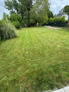 Photo de galerie - Tonte