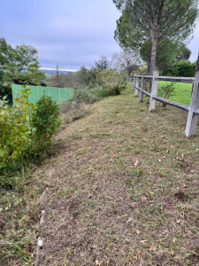 Photo de galerie - Tonte de pelouse - Débroussaillage