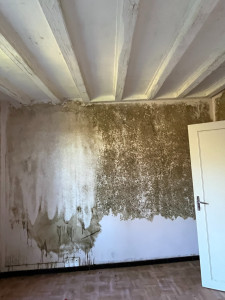 Photo de galerie - Retrait de moisissure avant peinture