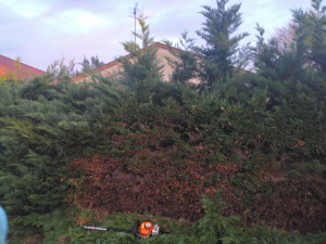 Photo de galerie - Paysagiste - Aménagement du jardin