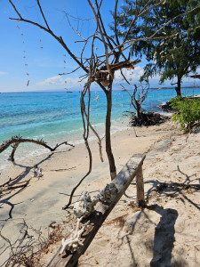 Photo de galerie - Les beaux voyages 