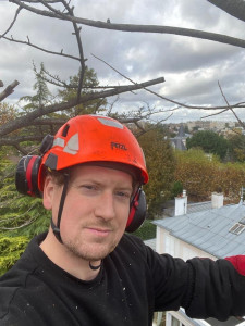 Photo de galerie - Coupe d’arbre chez un particulier 