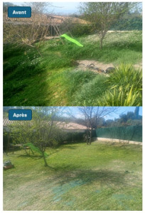 Photo de galerie - Débroussaillage et tonte dans un jardin de 250m2 avec évacuation des déchets verts.