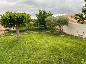 Photo de galerie - Tonte pelouse après 