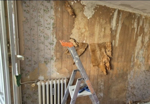 Photo de galerie - Peinture - Tapisserie