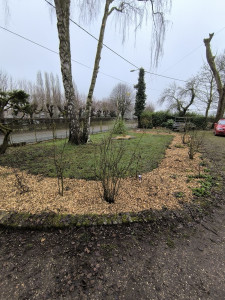 Photo de galerie - Paillage d'un parterre de rosiers