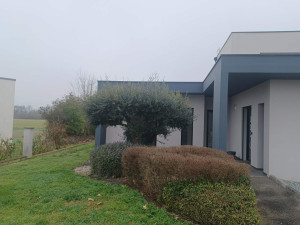 Photo de galerie - Taille de haies et d'arbustes