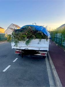 Photo de galerie -     Évacuation de déchets verts (la plus courante) * Enlèvement de déchets verts * Collecte de déchets verts * Transport de déchets verts vers la déchetterie *