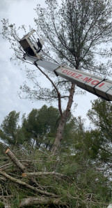 Photo de galerie - Bonjour c’est l’entreprise Boglioni je fait du taillage d’arbres abattage d’arbres taillage de haies 