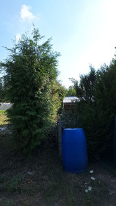 Photo de galerie - Bricolage et multi services