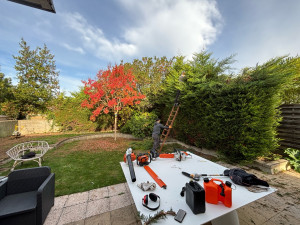 Photo de galerie - Abattages d’une haie 