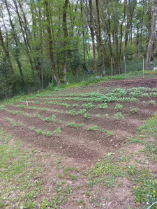 Photo de galerie - Préparation d’un jardin potager sur Ustaritz 