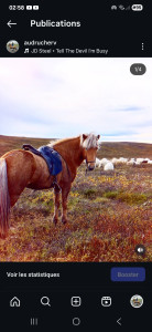 Photo de galerie - Cavalière, peut depanner pour monter, nourrir & entretien