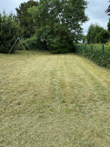 Photo de galerie - Tonte de pelouse - Débroussaillage