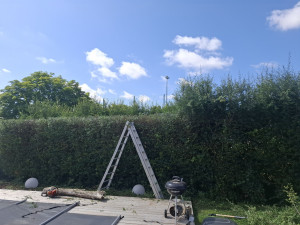 Photo de galerie - Espace vert 