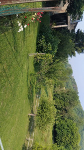 Photo de galerie - Entretien jardin