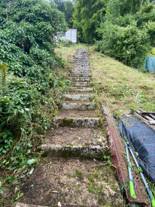 Photo de galerie - Après nettoyage de marches en bétons 