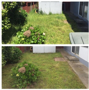 Photo de galerie - Je suis au travail jardinier sans matériel pas cher merci