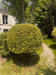 Photo de galerie - Taille millimétrée 