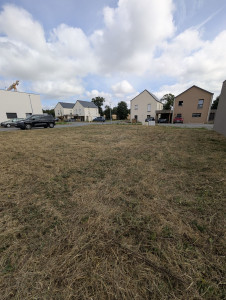 Photo de galerie - (Photo après) - Débroussaillage 