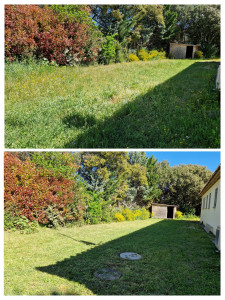 Photo de galerie - Tonte + débroussaillage 