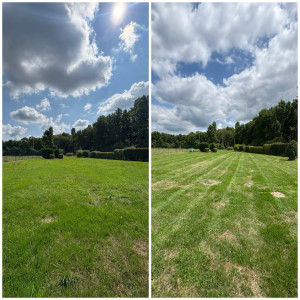 Photo de galerie - Tonte de pelouse 