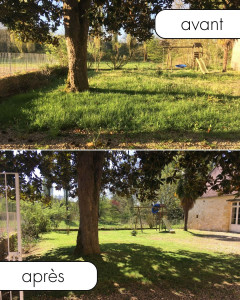 Photo de galerie - Tonte de pelouse - Débroussaillage