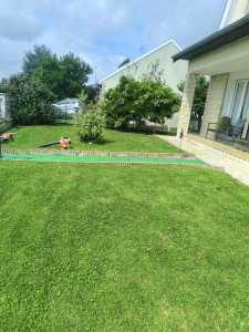 Photo de galerie - Tonte, bordures et nettoyage 