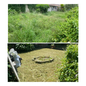 Photo de galerie - Tonte de pelouse - Débroussaillage