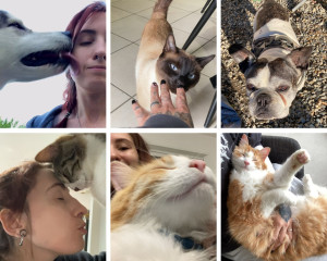 Photo de galerie - Medley de mes petits loulous en garde régulières