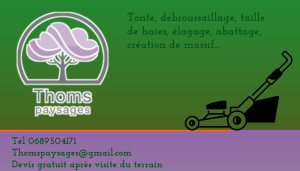 Photo de galerie - Paysagiste - Aménagement du jardin