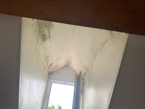 Photo de galerie - Peinture salle de bain