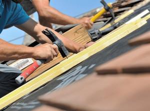 Photo de galerie - Mise en place de Lito