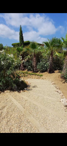 Photo de galerie - Réalisation d'un escalier + plantation de palmiers 