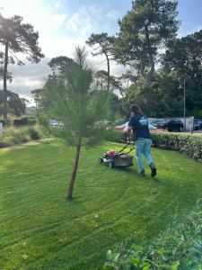 Photo de galerie - Tonte réalisé après une pose de gazon en rouleau 100 m2 