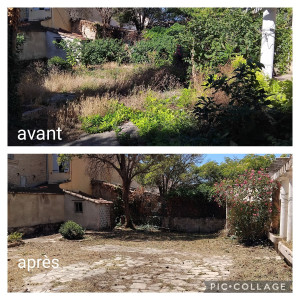 Photo de galerie - Debroussaillage d'un jardin laissé à l'abandon.