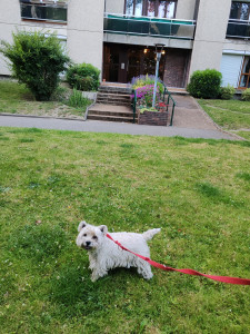 Photo de galerie - Léon pensionnaire de la semaine