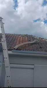 Photo de galerie - Démolition cheminée installation de gaine plus poêle a bois 